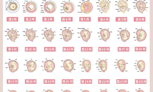 备孕期间想点痣有影响吗、备孕期间想点痣可以吗 -备孕期间想点痣网