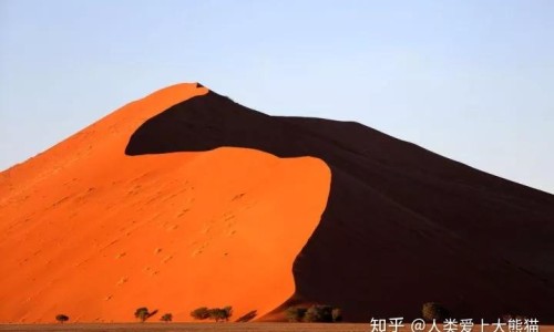 备孕期间想点痣有影响吗、备孕期间想点痣可以吗 -备孕期间想点痣网