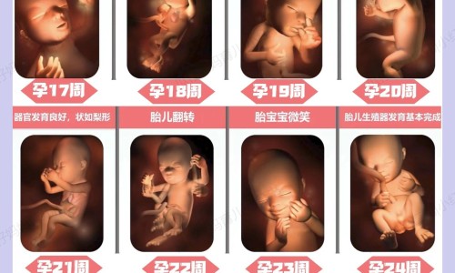 备孕期间想点痣有影响吗、备孕期间想点痣可以吗 -备孕期间想点痣网